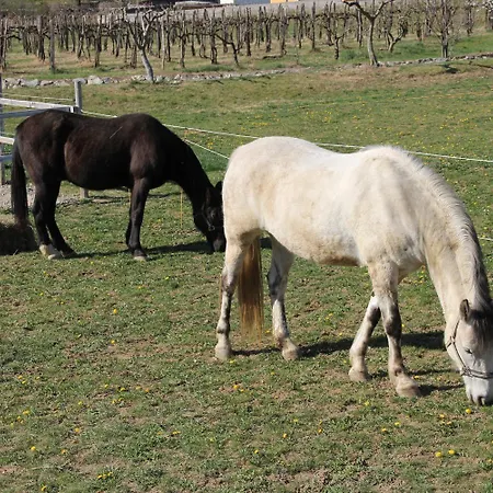 Vendégház Osterija 3*