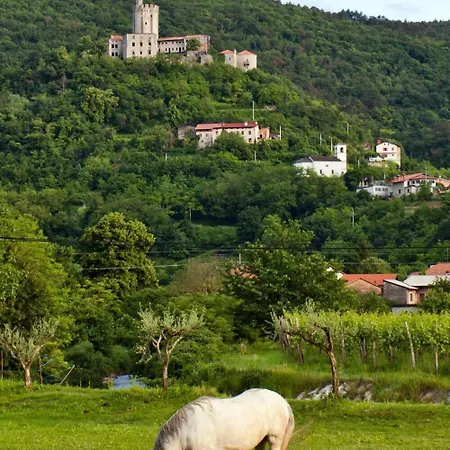 Casa de hóspedes Osterija Branik