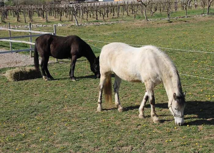 Affittacamere Osterija 3*