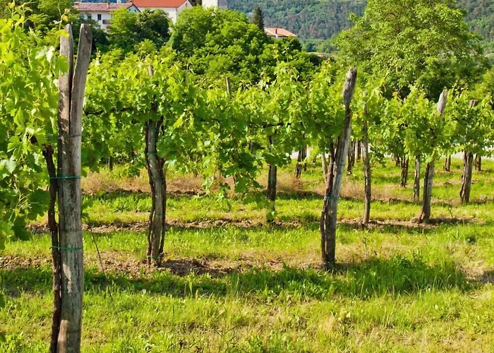 Osterija Affittacamere